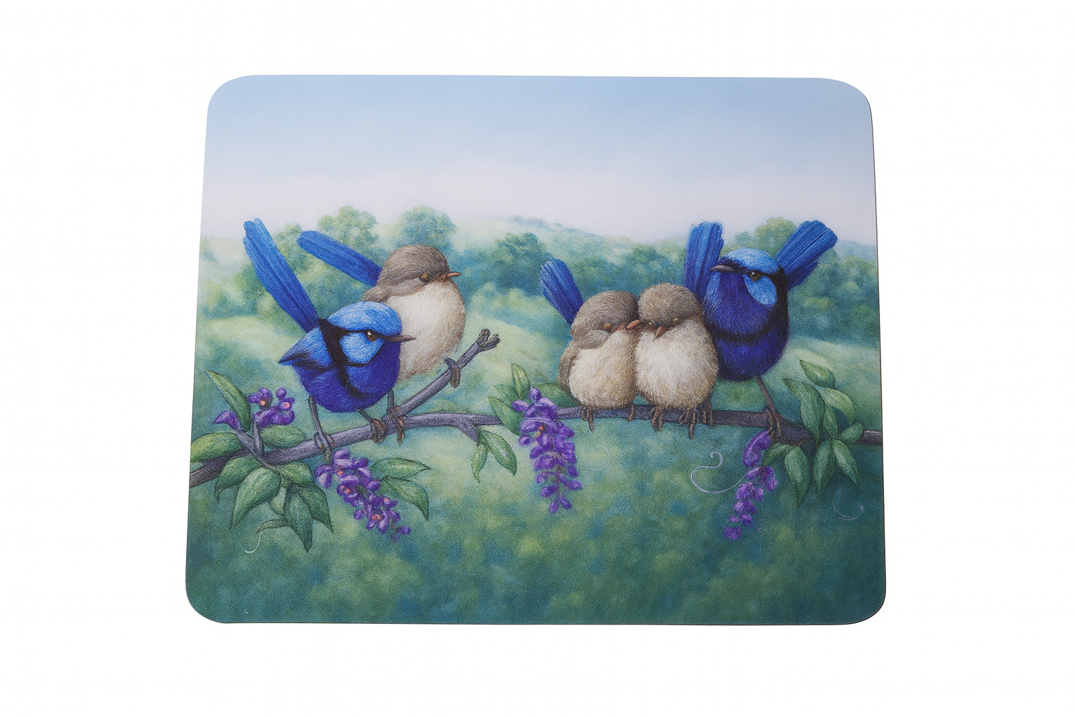 Australian Botanical Gift Box – Curated Home & Nature-Inspired Pieces