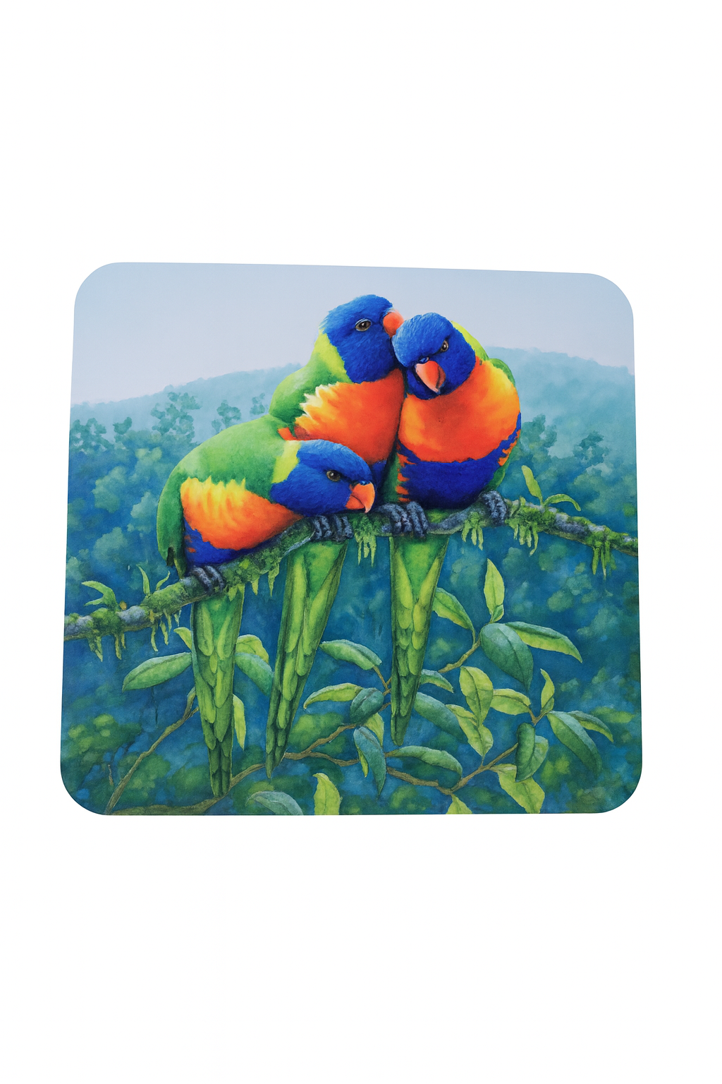 Australian Botanical Gift Box – Curated Home & Nature-Inspired Pieces